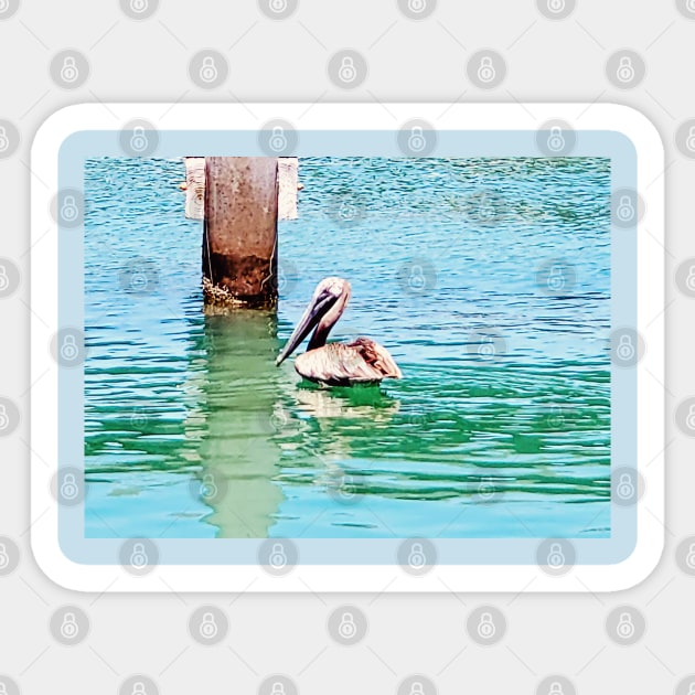 Florida Keys Pelican Floating In The Ocean Sticker by Rosemarie Guieb Designs